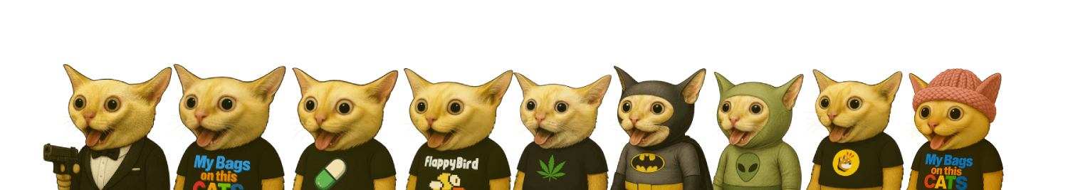 CATS Footer Character